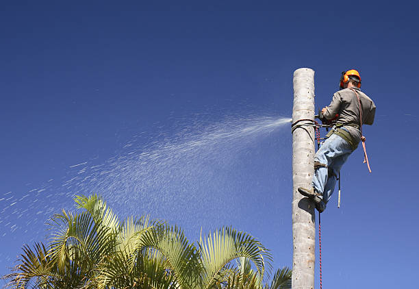 Best Artificial Turf Installation  in Berkshire Lakes, FL